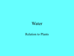 Water - plant phys