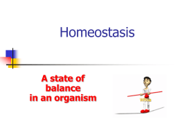 Homeostasis - This is Worley Science