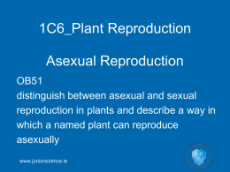 1C6_Plant Reproduction