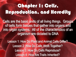 Chapter 1: Cells, Reproduction, and Heredity
