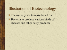 Illustration of Biotechnology - R