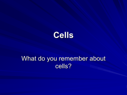 Cells - My Teacher Pages
