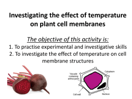 Investigating the effect of temperature on plant cell membranes The