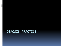 Osmosis Practice