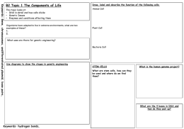 B2 Revision MATs - Hodge Hill College