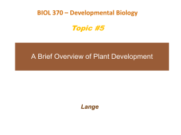 Developmental Biology 8/e