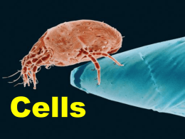 Presentations : Cells