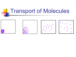 Diffusion:Active Transport