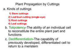 Chap 9. Principles of Propagation by Cuttings