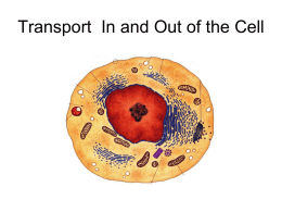 Transport In and Out of the Cella
