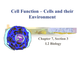 Cell Function – Cells and their Environment