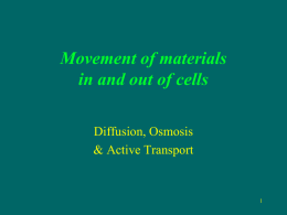 Movement of materials in and out of cells
