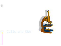Cells and DNA PPT