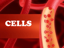 What is a cell? - Campbell County Schools