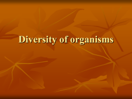Diversity of organisms