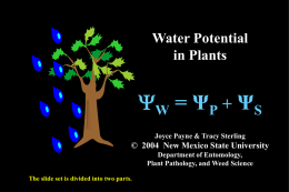 Water Potential Slide Show (needs edits)