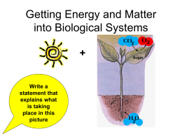 Getting Energy and Matter into Biological Systems