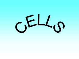 Cells - granbyscience7