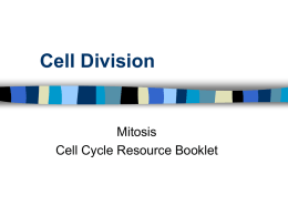 Cell Cycle Book PPT