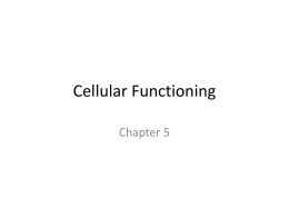 Cellular Functioning