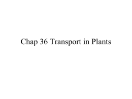 36plant transport