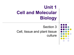 Cell, tissue and plant tissue culture