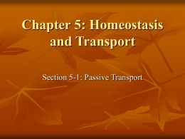 To return to the chapter summary click escape or close this document.
