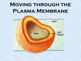 Inside Cell