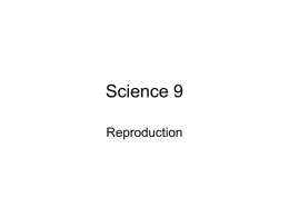 Reproductive cells