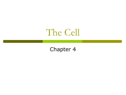 The Cell - CCRI Faculty Web