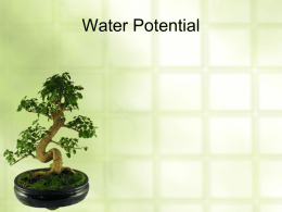 Plants, Isomolar Point, and Water Potential