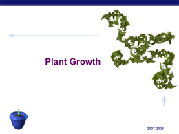 Plant Growth and Transport
