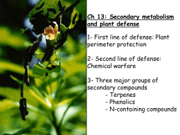 Plant Defense - NAU jan.ucc.nau.edu web server
