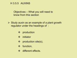 3.5.5.H Auxins - LC Biology 2012-2013