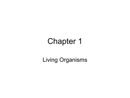 Chapter 1 - SharpSchool
