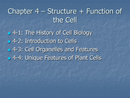 Chapter 4 – Structure + Function of the Cell