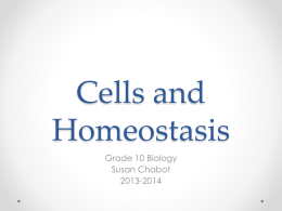 Homeostasis and Cells - Lemon Bay High School