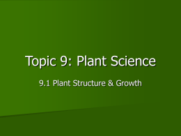Plant structure & growth