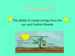 Photosynthesis - Highline Public Schools