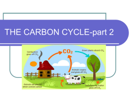 PowerPoint Presentation - THE CARBON CYCLE