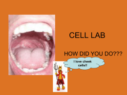 1 Cell Lab Review - Solon City Schools