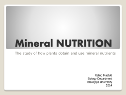 Mineral NUTRITION