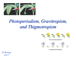 Photoperiodism, Gravitropism, and Thigmotropism - mvhs