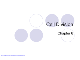 Cell Division - CCRI Faculty Web