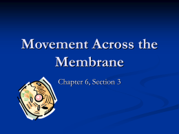 Movement Across the Membrane