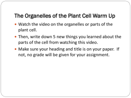 The Organelle of the Plant Cell Warm Up