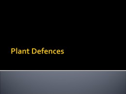 Plant Defense - Unit3and4Biology