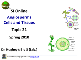 SI Powerpoint: Cells and Tissues of Plant - Chemistry-i