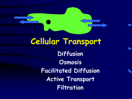 Cell Transport Notes - Fort Thomas Independent Schools