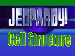 Cell Structure Jepordy